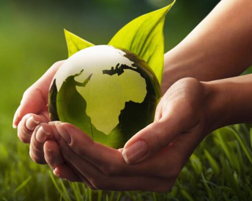 Environmental Stewardship